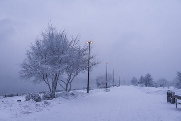 Similar image 22062156