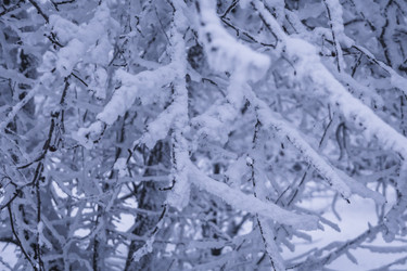 Similar image 22062157