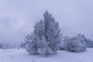 Similar image 22062166