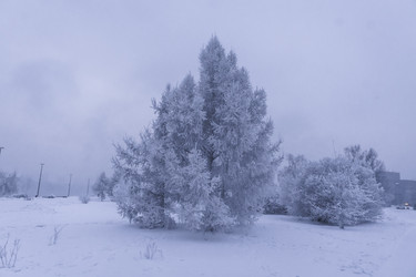 Similar image 22062174