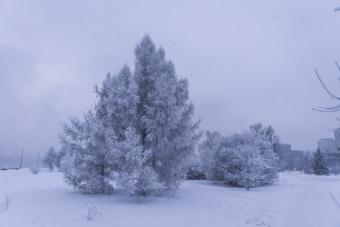 Similar image 22062182