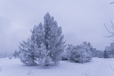 Similar image 22062196