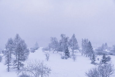 Similar image 22062201