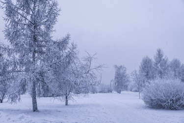 Similar image 22062202