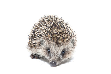 Similar image 22061418