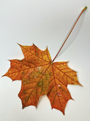 Similar image 22072393