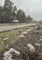 Similar image 22072397