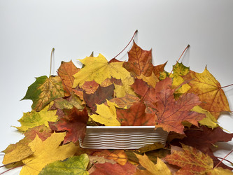 Similar image 22072398