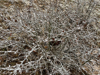 Similar image 22072399