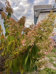 Similar image 22072646