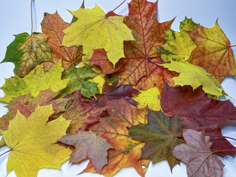 Similar image 22072647