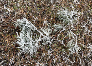 Similar image 22072648