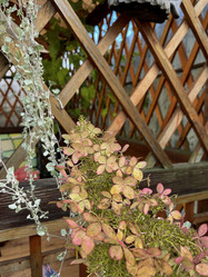 Similar image 22072650