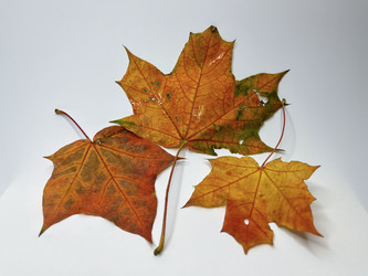 Similar image 22072651