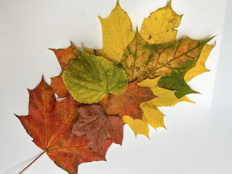 Similar image 22072655