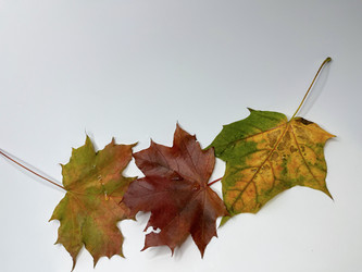 Similar image 22072657