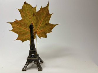 Similar image 22072659