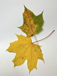 Similar image 22072662