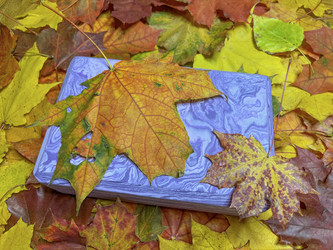 Similar image 22072666