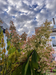 Similar image 22072667