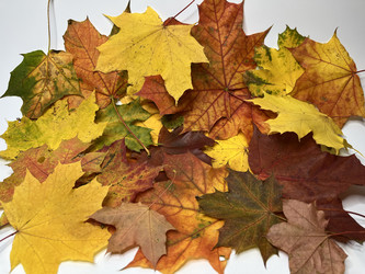 Similar image 22072668