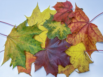 Similar image 22072671