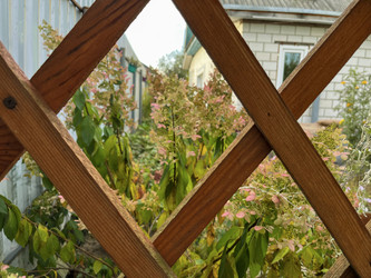 Similar image 22072673