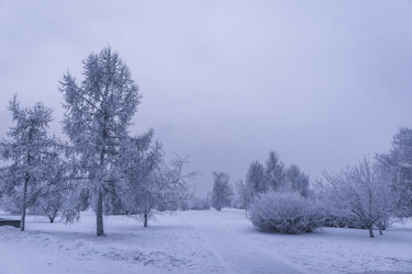 Similar image 22062203