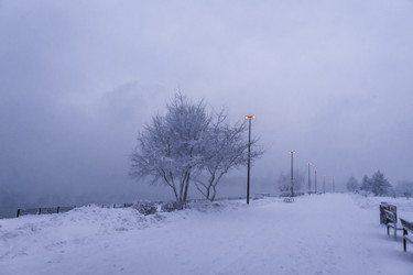 Similar image 22062204