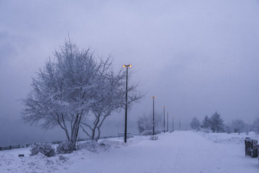 Similar image 22062206