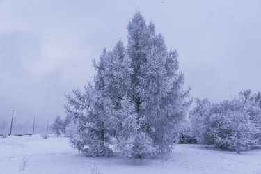 Similar image 22062105