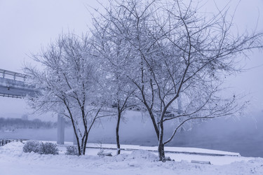 Similar image 22062106