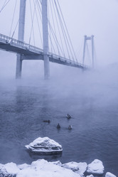 Similar image 22062108