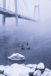 Similar image 22062115