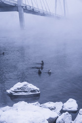 Similar image 22062117