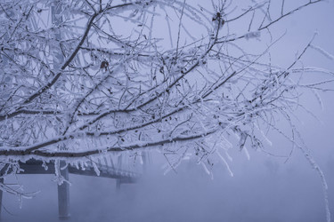 Similar image 22062224