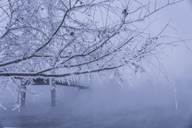 Similar image 22062226