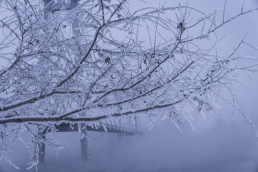 Similar image 22062230