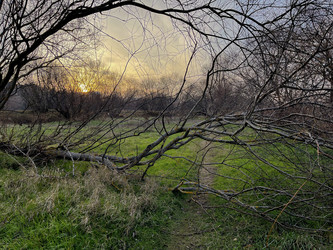 Similar image 22071321