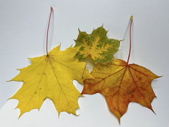 Similar image 22071324