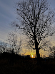 Similar image 22071333