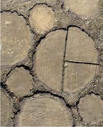 Similar image 22072226