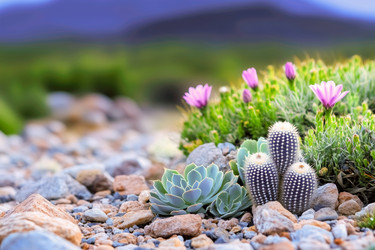 Similar image 22091977