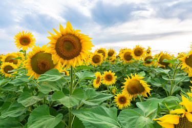 Similar image 22060860