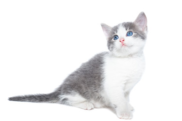 Similar image 22060862