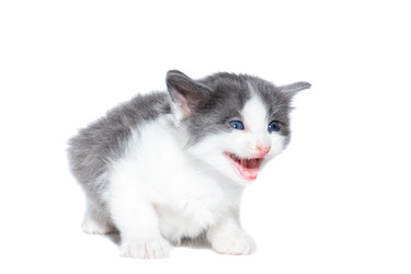 Similar image 22060865