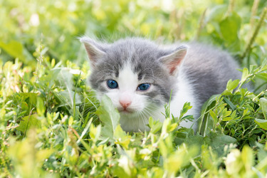 Similar image 22061053