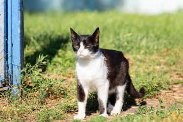 Similar image 22061057