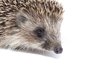 Similar image 22061059