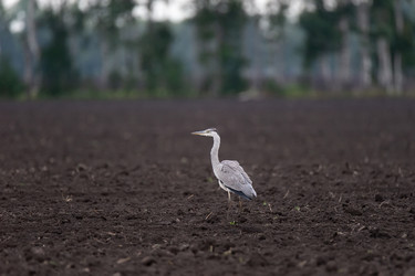 Similar image 22061067